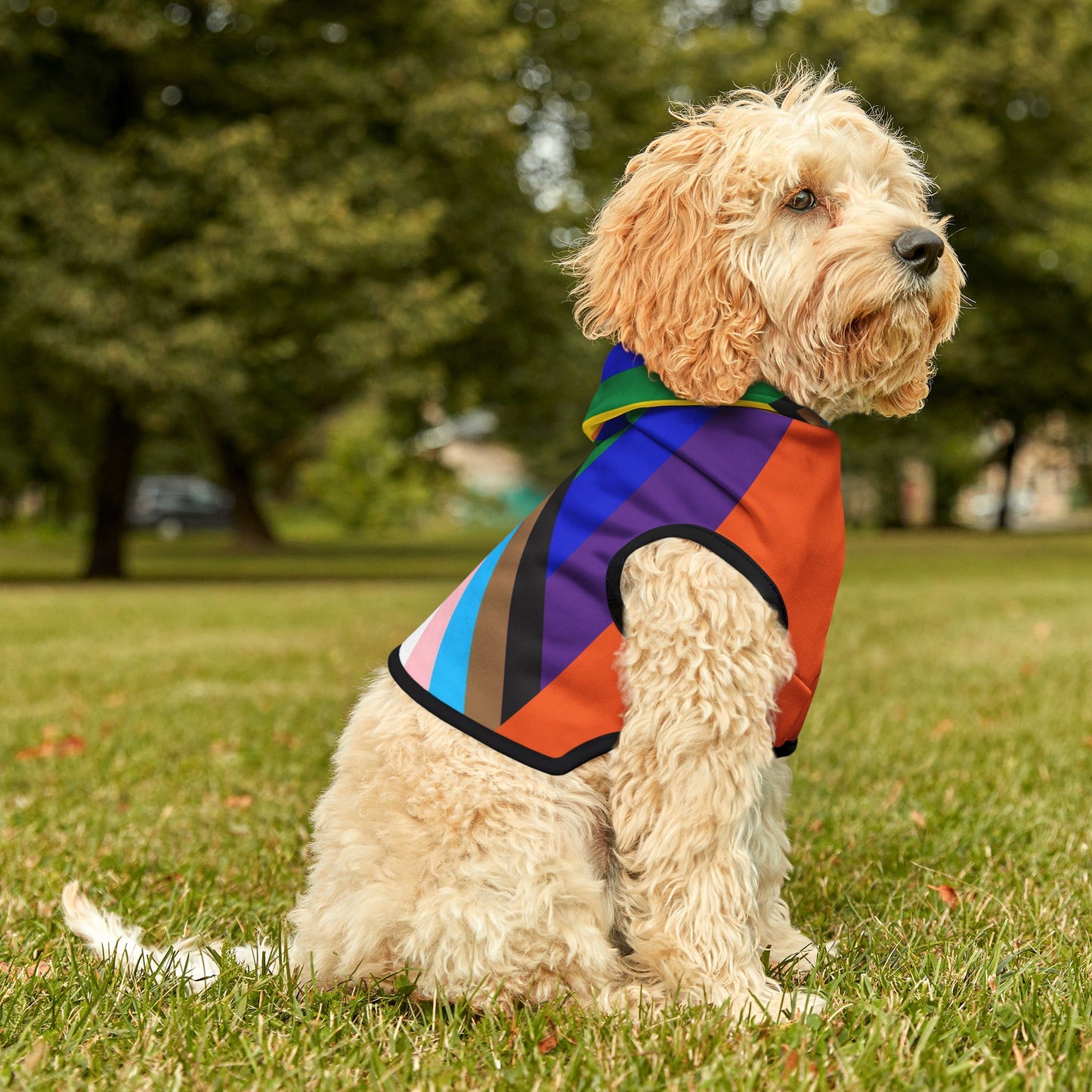 Pride Rainbow Pet Hoodie — LGBTQ+ Dog & Cat Hoodie