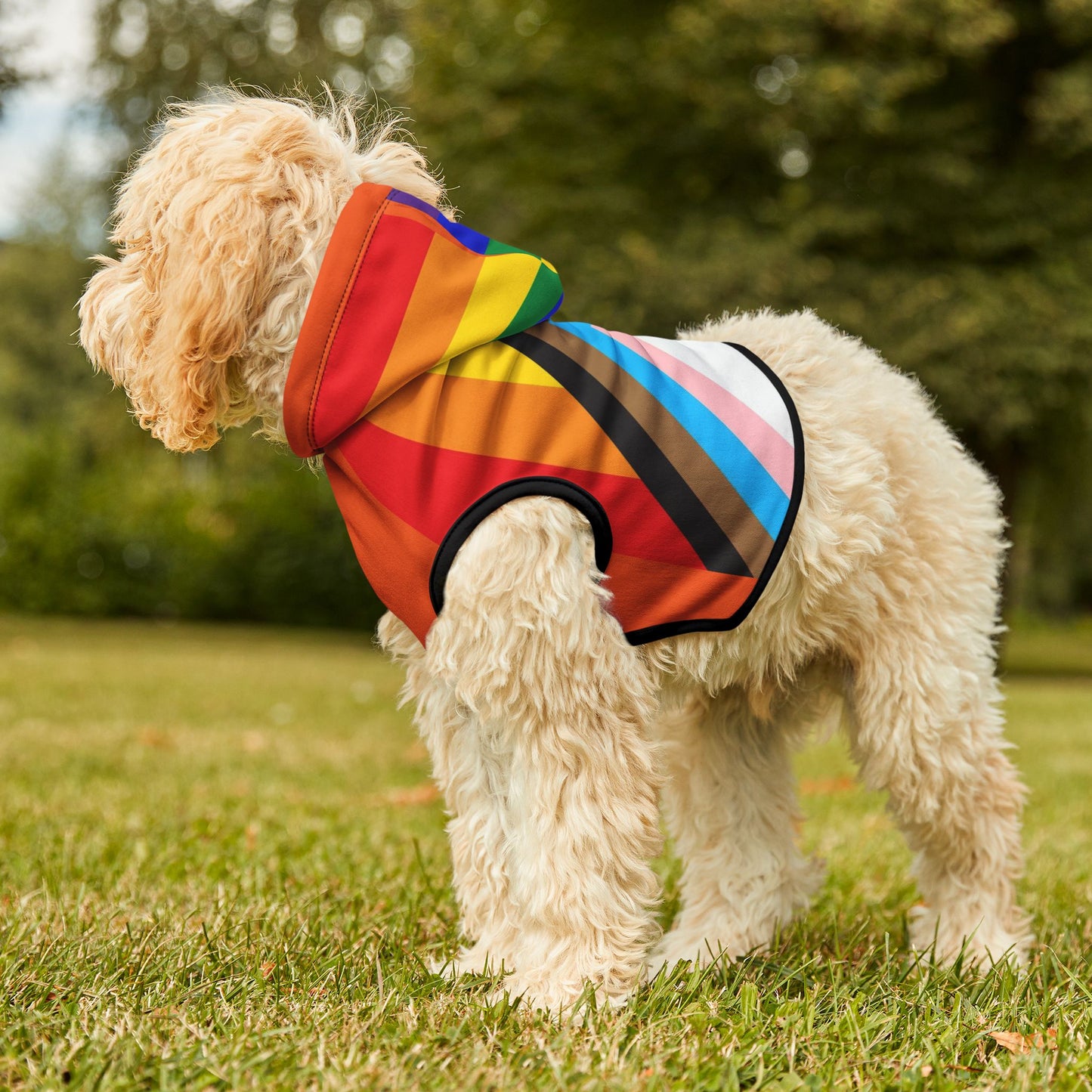 Pride Rainbow Pet Hoodie — LGBTQ+ Dog & Cat Hoodie
