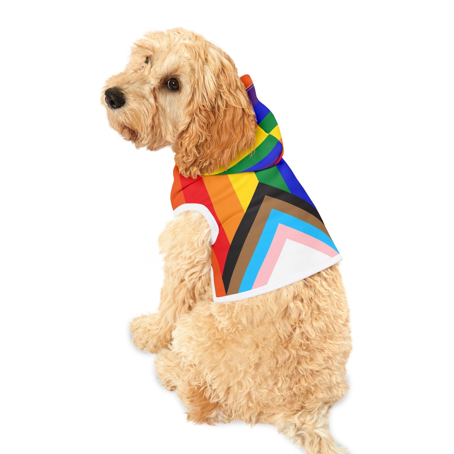 Pride Rainbow Pet Hoodie — LGBTQ+ Dog & Cat Hoodie