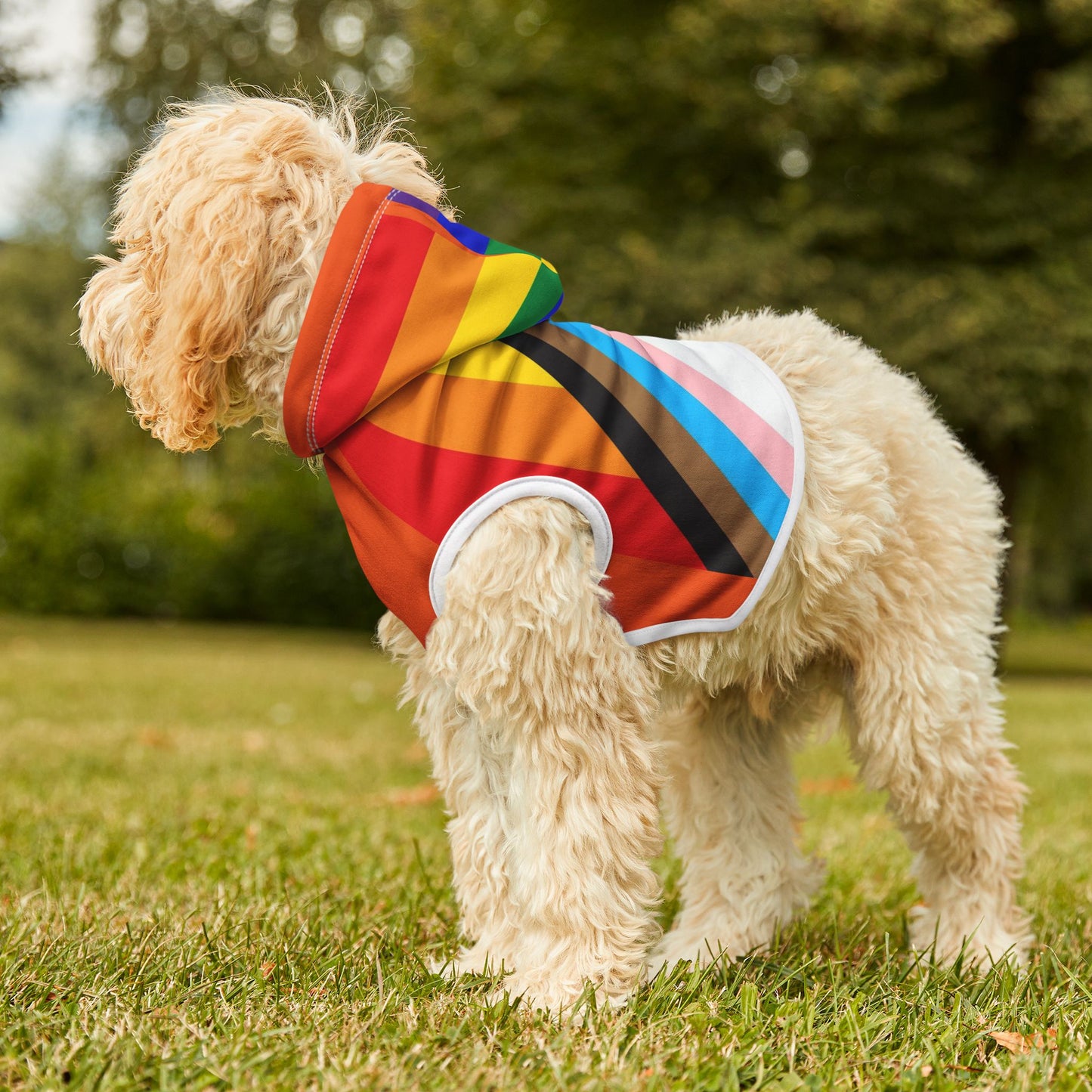 Pride Rainbow Pet Hoodie — LGBTQ+ Dog & Cat Hoodie